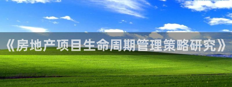永利股份有限公司介绍