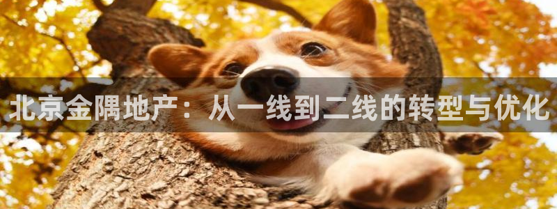 永利背五厘正常价格